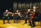 Vienna String Quartet