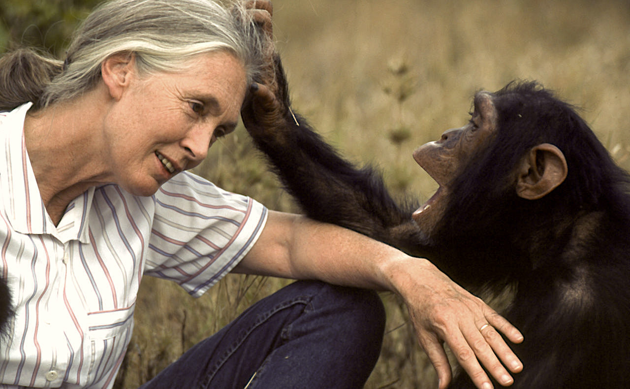 Famous People Born in the Year of the Dog Jane Goodall