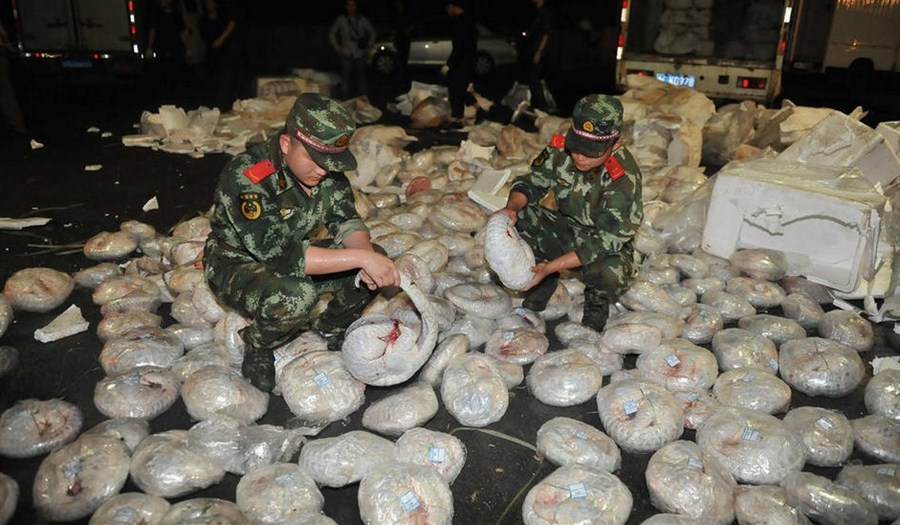 A recent bust last month in Guangdong uncovered more than 1,000 frozen pangolins en route to dinner tables. 