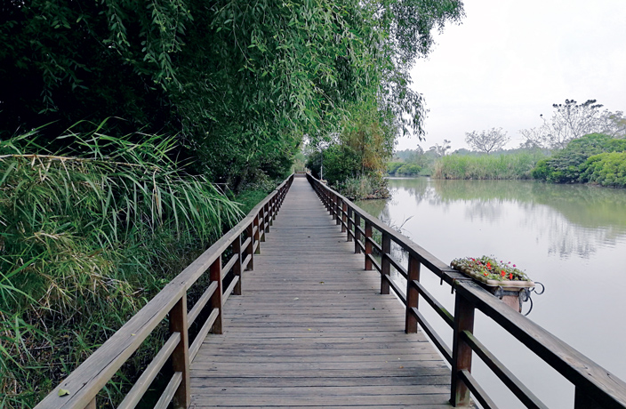 nansha-wetland-park.jpg