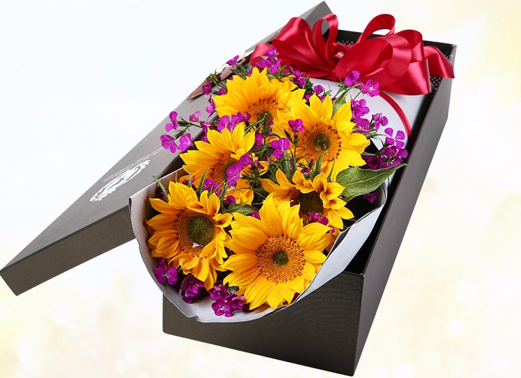 Sunflowers