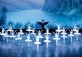 Children's Ballet of Kiev: Swan Lake
