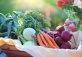 Towards Sustainable and Healthy Agriculture