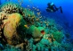 Weekend Dive Trip to Philippines