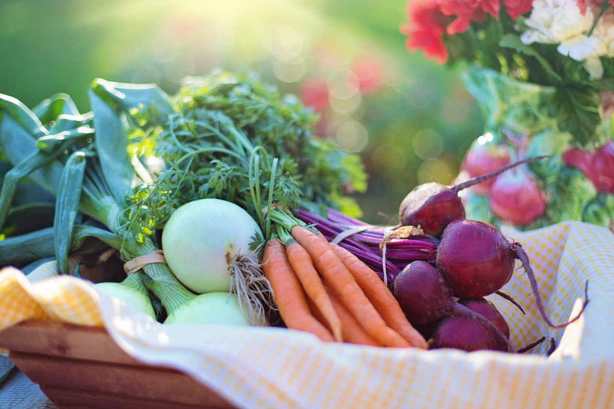 agriculture-basket-beets-5333601.jpg