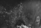 Bruno Major