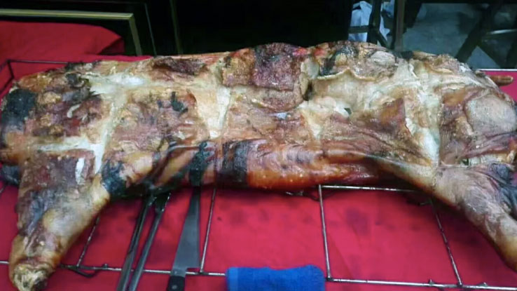 pig-in-box.jpg
