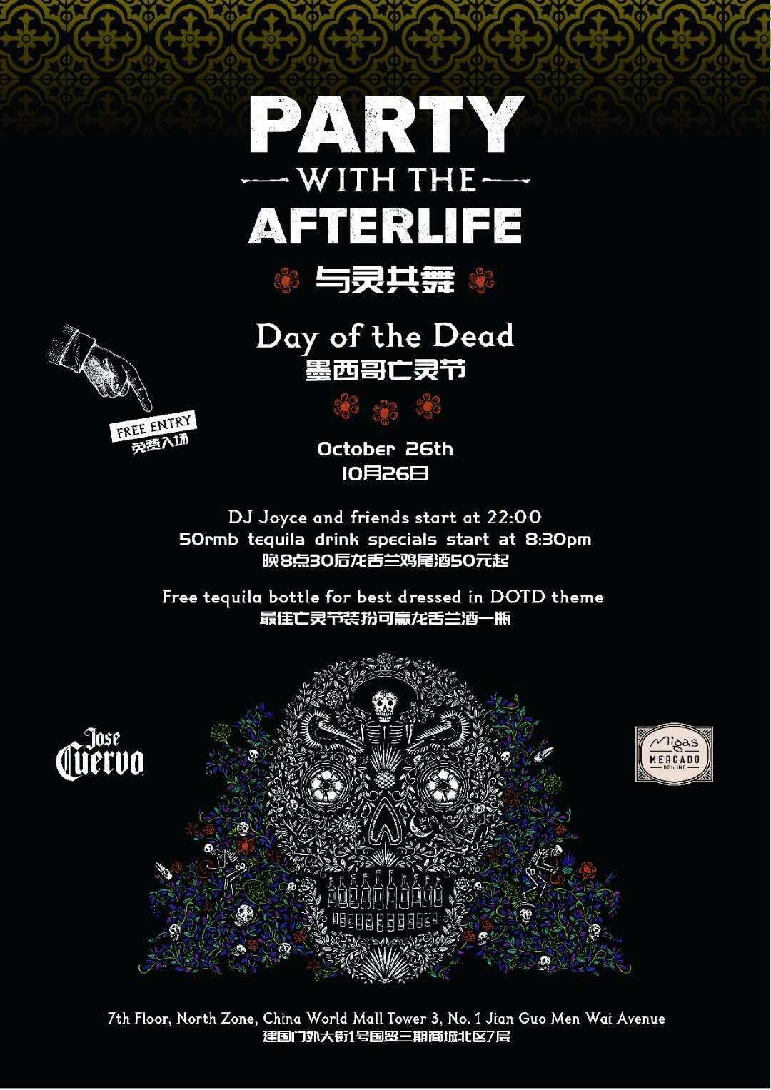 afterlife-party.jpeg