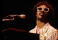 Stevie Forever