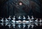 Swan Lake by Saint Petersburg Russian Ballet Theatre 