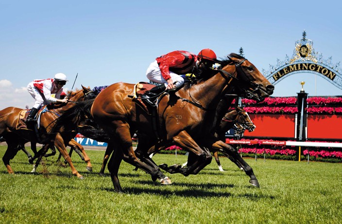 melbourne-cup-horse-race-shanghai.jpg