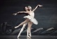 Swan Lake 
