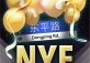 Last night on Dongping Rd. D.O.C New Year's Eve