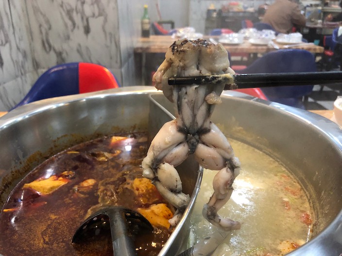 Frog-Hotpot.jpg