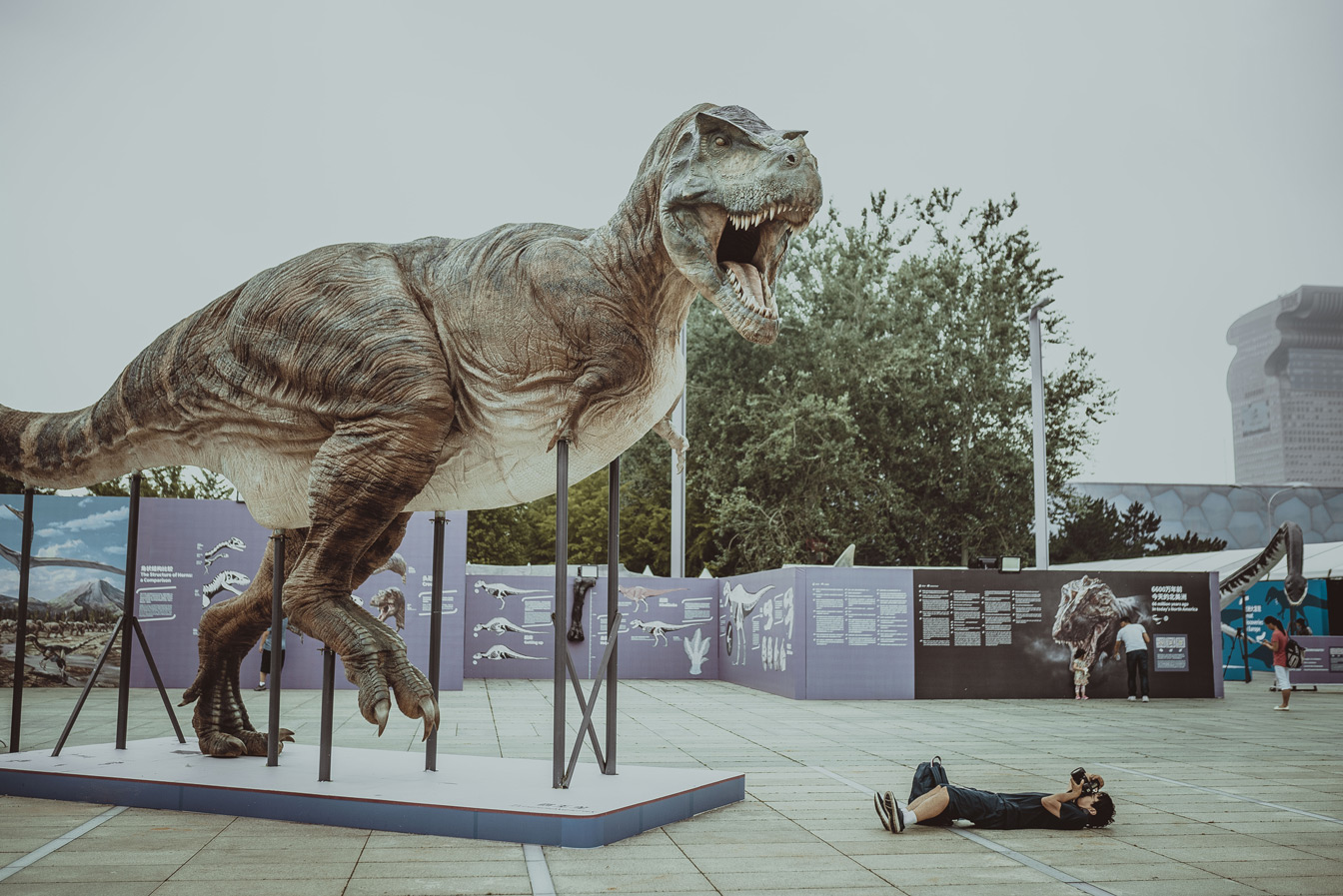 T.rex-photo-YANG-Lei.jpg
