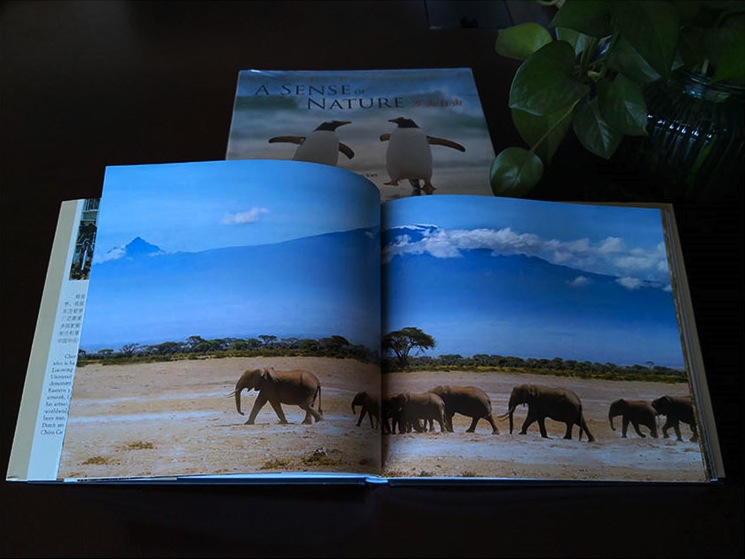 Fall in Love with Nature with This Stunning Wildlife Photobook