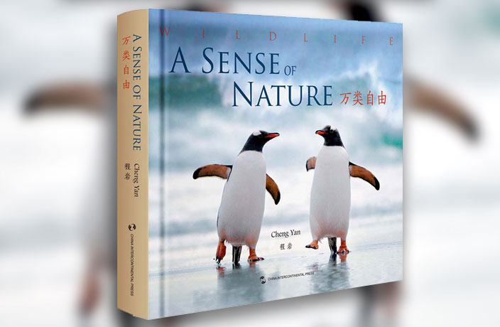 Fall in Love with Nature with This Stunning Wildlife Photo Book