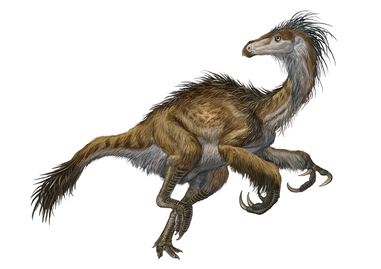 beipiaosaurus.jpg
