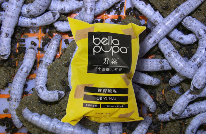 We Tried Silkworm Chips So You Don't Have To