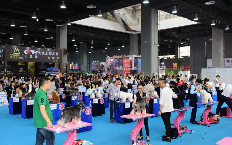 pets-expo.jpg