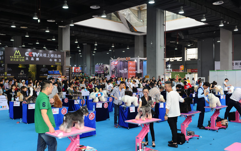 pets-expo1.jpg