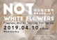 NOT White Flowers