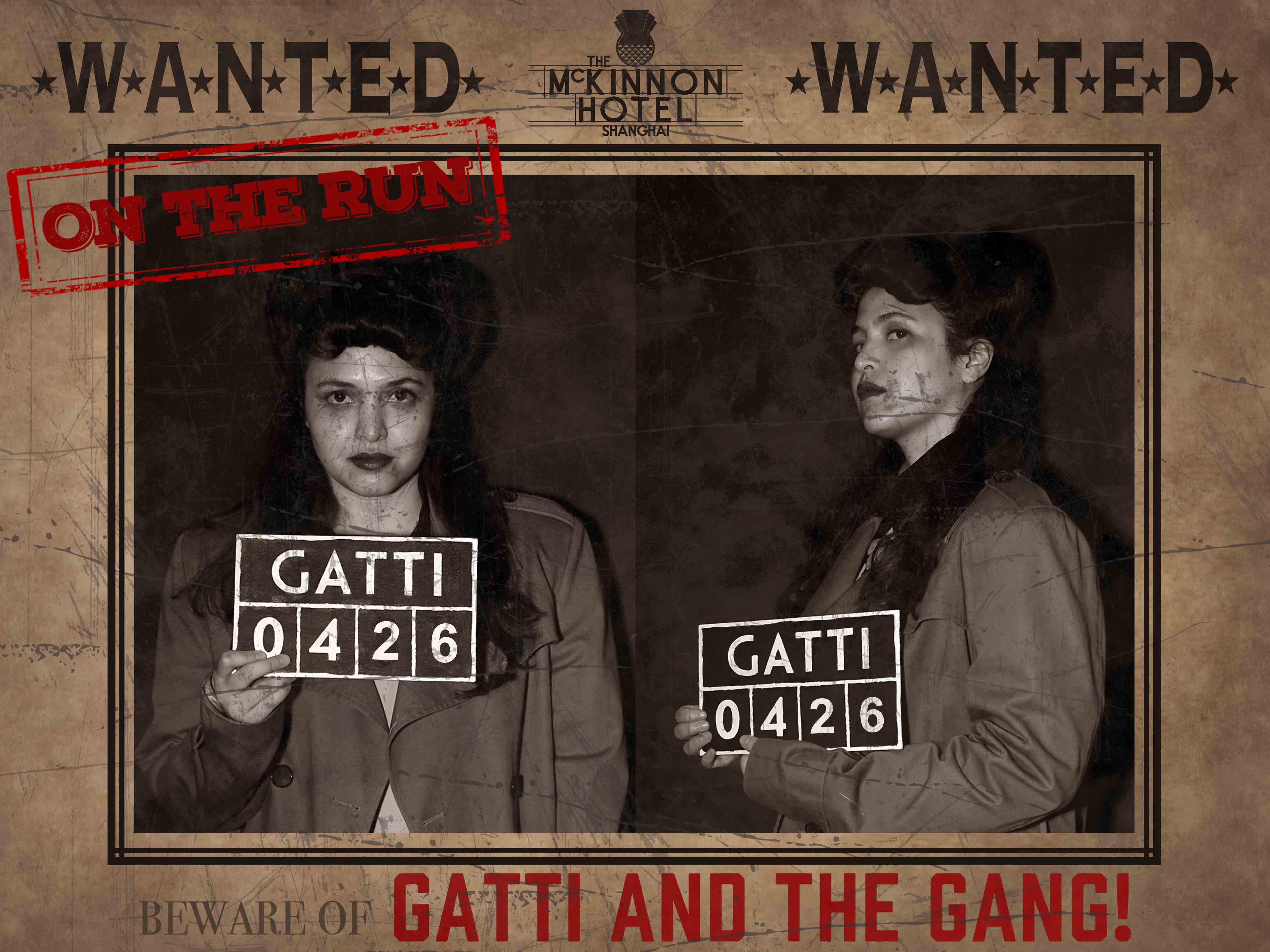 gatti-banner1.jpg