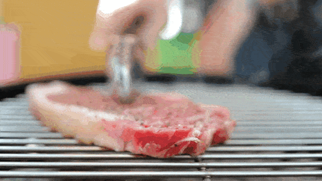 Meat