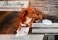 Storytelling at 4 Corners! – Theme: PET