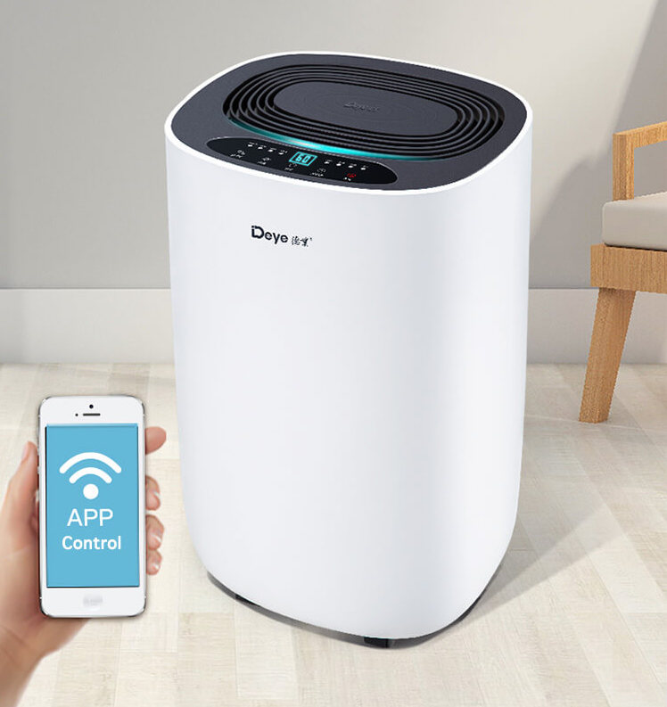 Improve Indoor Air Quality with This Affordable Dehumidifier