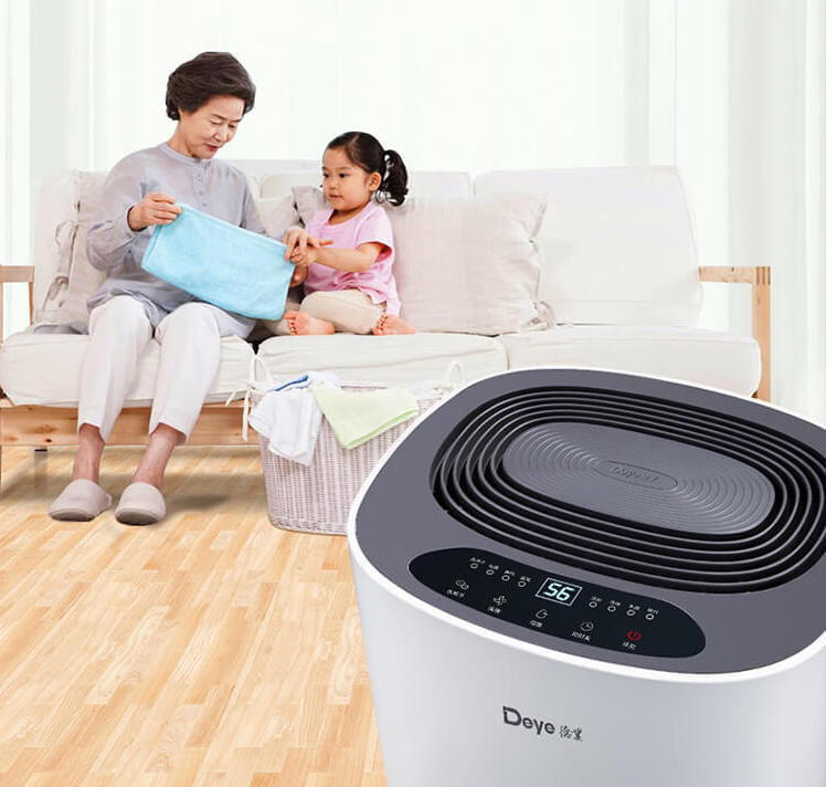 Improve Indoor Air Quality with This Affordable Dehumidifier