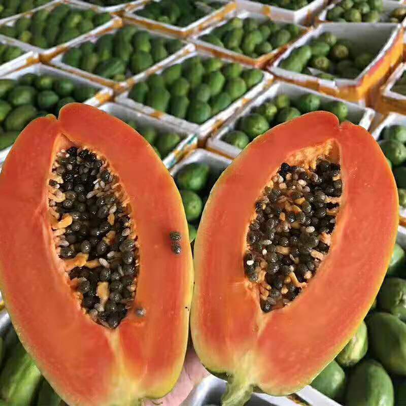 Papaya