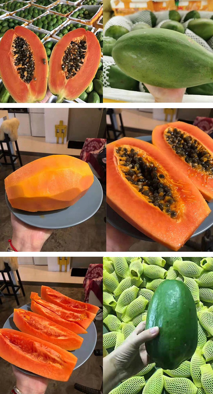 Papaya