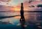 Mastering Your Handstand
