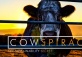 Cowspiracy - Boomi Screening