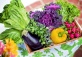 You Are What You Eat – Perspectives on Nutrition