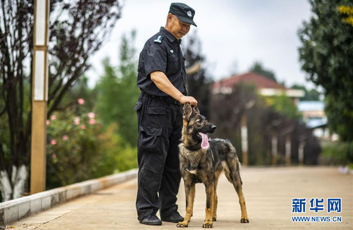 cloned-police-dog.jpg