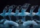 Swan Lake