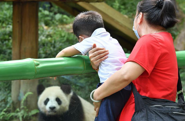 Guangzhou's Chimelong Safari Park Reopens