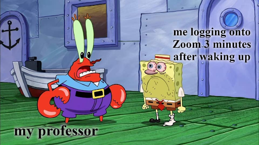 Zoom Meme