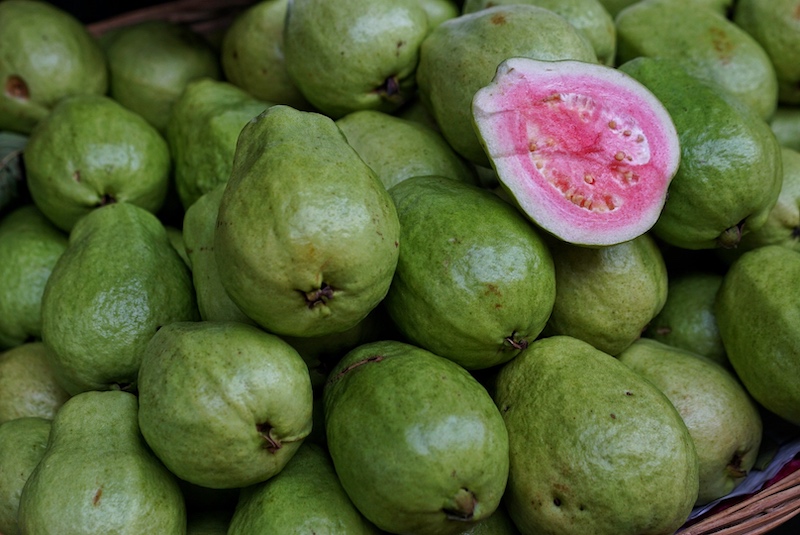 Guava.jpg