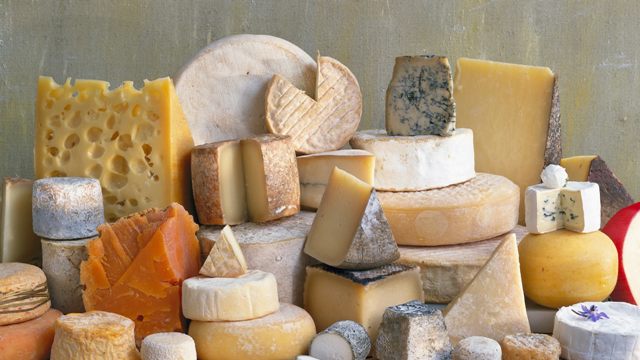 Over 100 Types of Cheese for the Life You Deserve!