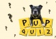 Pup Quiz with Drinks, 26th June | Dog Event