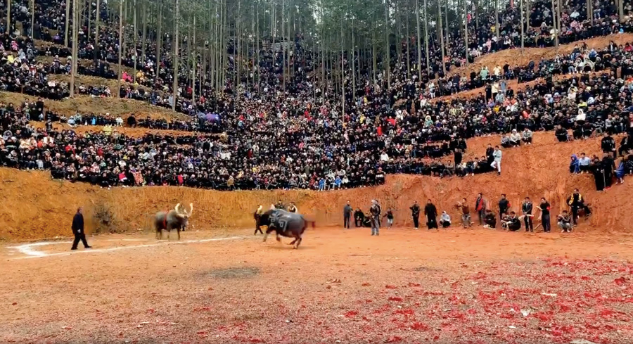 bullfighting.jpg