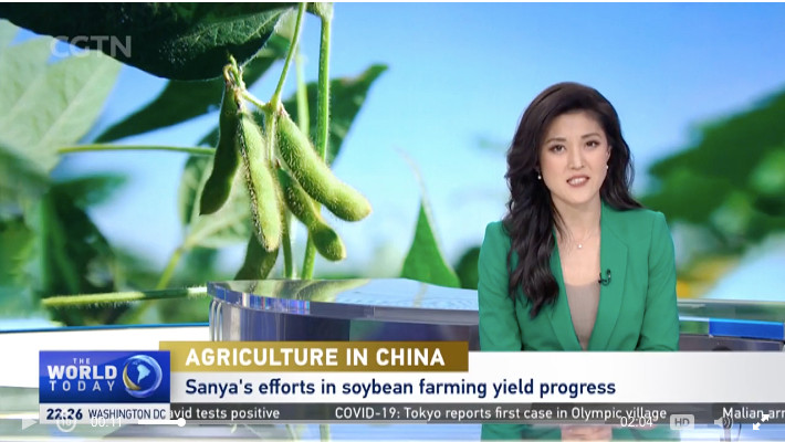 cgnt-reports-on-soybean-.jpg