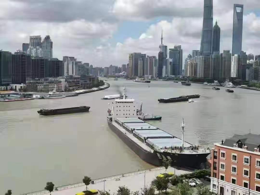 Cargo Ship Crashes Into Bank of Shanghai’s Huangpu River