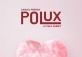 QIXI 