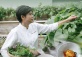 Guest Thai Chef Rosarin from The Sukhothai Bangkok