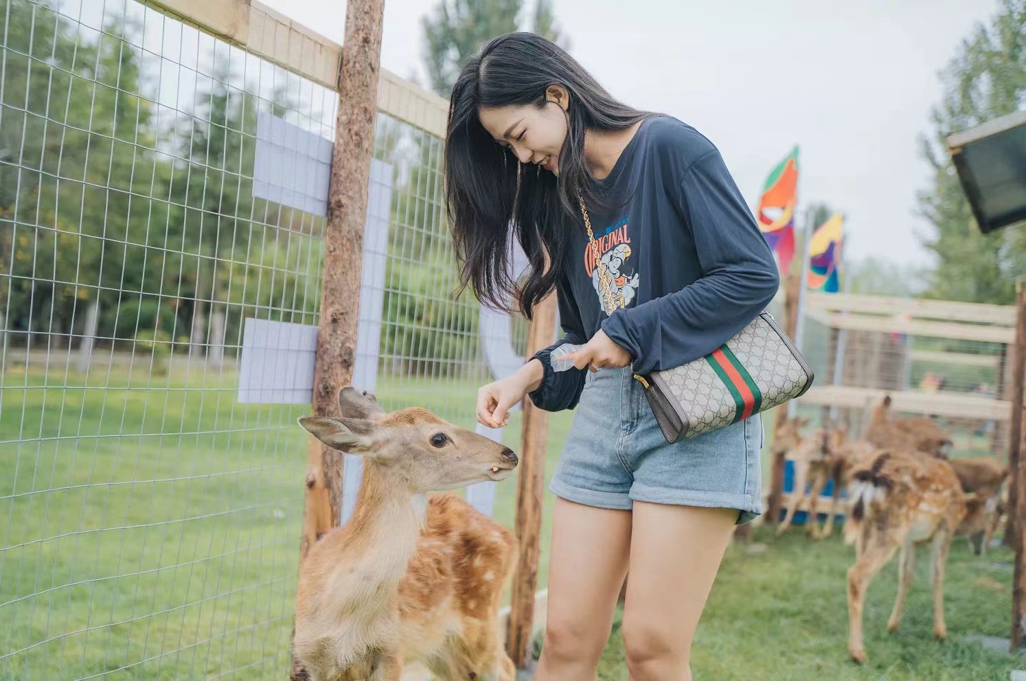 Top 10 Events in Haikou This Week: Blues, Feeding Deer & More