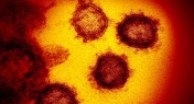 Zero Cases Reported for 1st Time Since Outbreak Began!